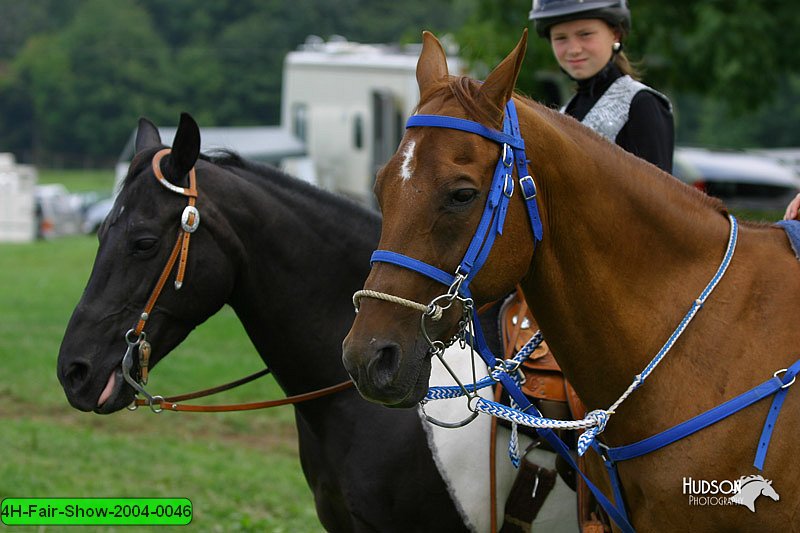 4H-Fair-Show-2004-0046.jpg