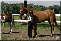 4H-Fun-Show-2004-042.jpg