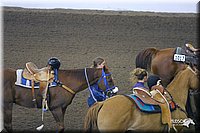 4H-State-Show-2004-0169.jpg