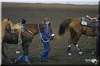 4H-State-Show-2004-0170.jpg