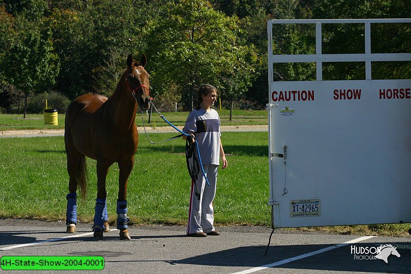 4H-State-Show-2004-0001.jpg