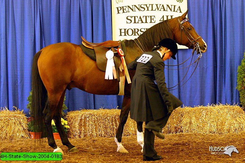 4H-State-Show-2004-0183.jpg