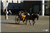 4H-State-Show-2004-0026.jpg