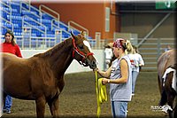 4H-State-Show-2004-0033.jpg