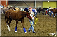 4H-State-Show-2004-0034.jpg