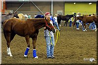 4H-State-Show-2004-0035.jpg