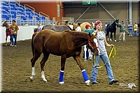 4H-State-Show-2004-0039.jpg