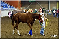 4H-State-Show-2004-0040.jpg