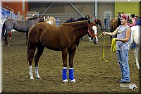 4H-State-Show-2004-0041.jpg