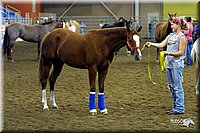 4H-State-Show-2004-0042.jpg