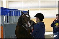 4H-State-Show-2004-0046.jpg