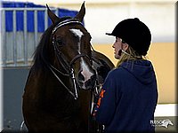 4H-State-Show-2004-0047.jpg