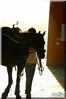 4H-State-Show-2004-0051.jpg