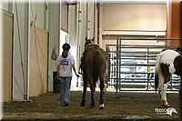 4H-State-Show-2004-0052.jpg