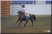 4H-State-Show-2004-0061.jpg