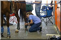 4H-State-Show-2004-0151.jpg