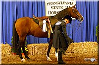 4H-State-Show-2004-0183.jpg