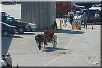 4H-State-Show-2004-0243.jpg