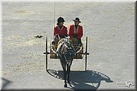 4H-State-Show-2004-0244.jpg