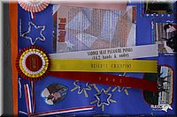 4H-State-Show-2004-0301.jpg