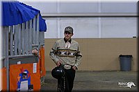 4H-State-Show-2004-0303.jpg