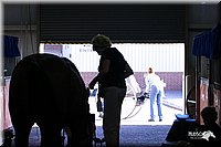 4H-State-Show-2004-0304.jpg