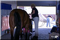 4H-State-Show-2004-0305.jpg