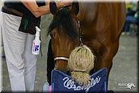 4H-State-Show-2004-0312.jpg