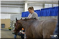 4H-State-Show-2004-0317.jpg