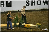 4H-State-Show-2004-0330.jpg