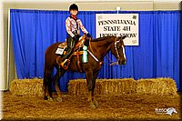 4H-State-Show-2004-0375.jpg