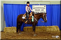 4H-State-Show-2004-0377.jpg