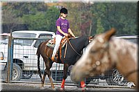 4H-State-Show-2004-0382.jpg