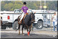 4H-State-Show-2004-0384.jpg