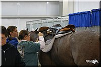 4H-State-Show-2004-0392.jpg