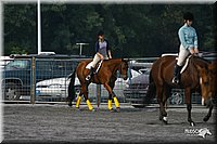 4H-State-Show-2004-0397.jpg