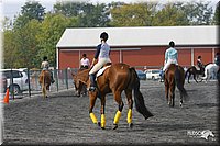 4H-State-Show-2004-0402.jpg