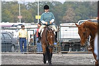 4H-State-Show-2004-0416.jpg