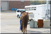 4H-State-Show-2004-0425.jpg