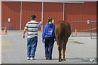 4H-State-Show-2004-0430.jpg