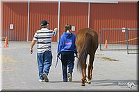 4H-State-Show-2004-0431.jpg