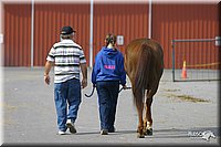 4H-State-Show-2004-0433.jpg