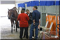 4H-State-Show-2004-0468.jpg