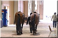 4H-State-Show-2004-0559.jpg