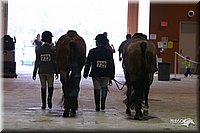 4H-State-Show-2004-0562.jpg