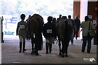 4H-State-Show-2004-0565.jpg