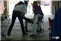 4H-State-Show-2004-0593.jpg