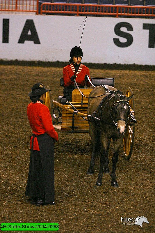 4H-State-Show-2004-0268.jpg