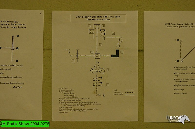 4H-State-Show-2004-0275.jpg