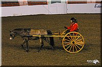 4H-State-Show-2004-0264.jpg